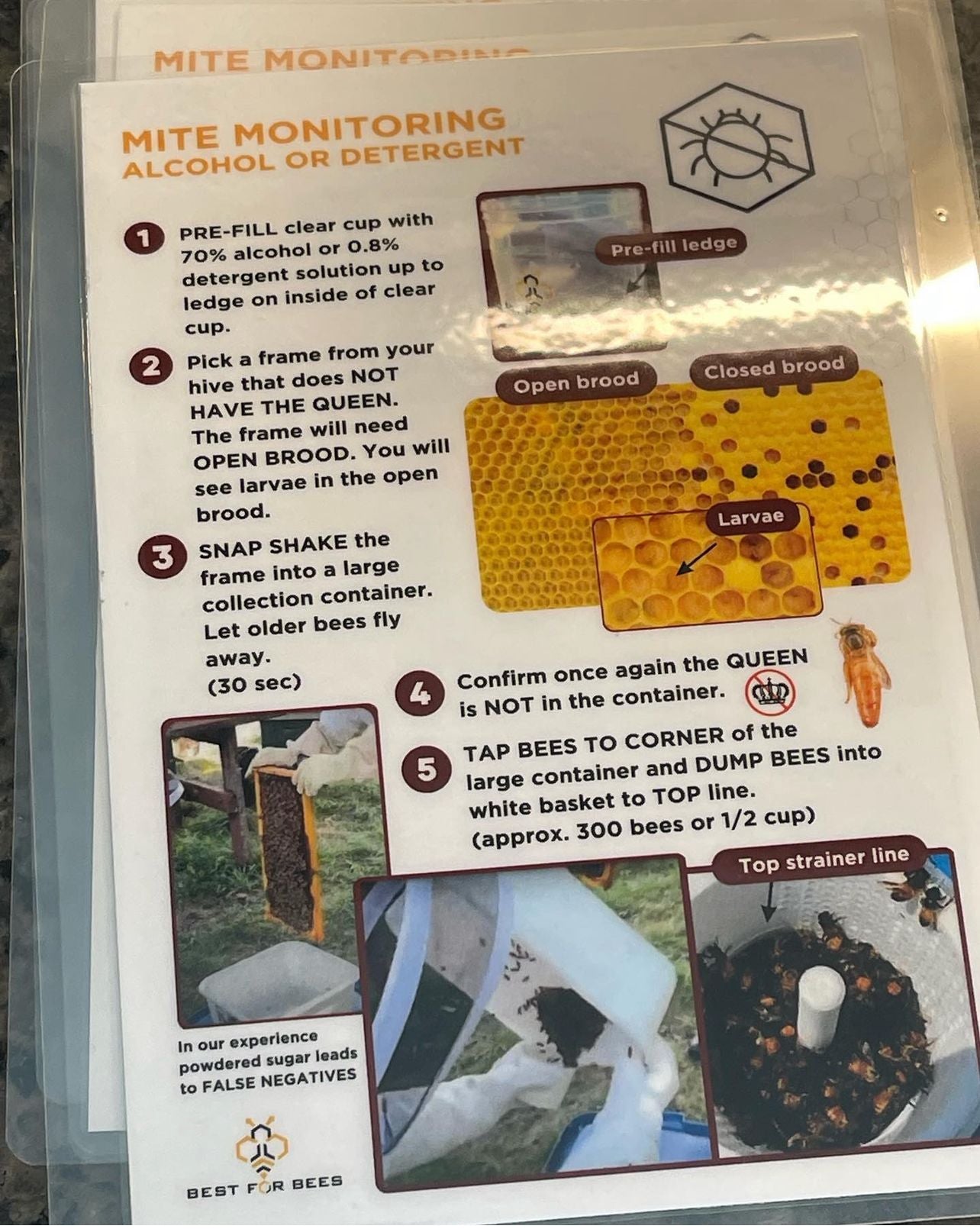 Bee Health Plan Cards