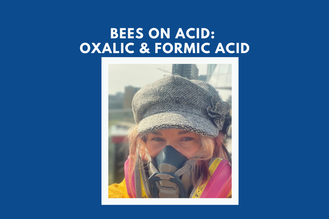 Bees on Acid: All The Buzz About Using Acid in the Hive