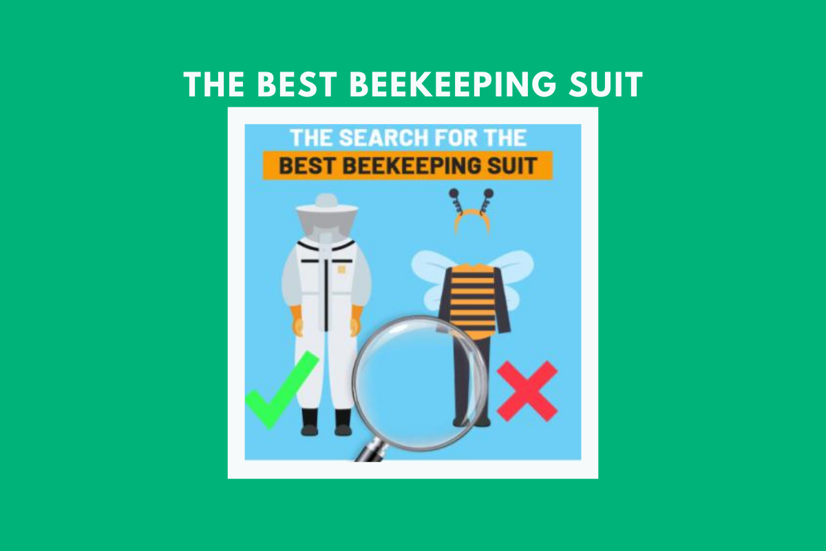 A Comprehensive Guide to the Best Beekeeping Suits