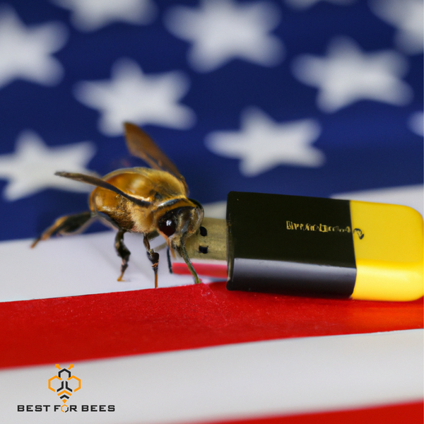 What do you call a bee from America?