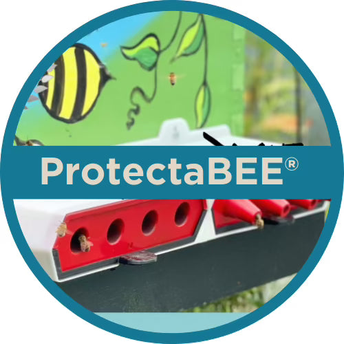 ProtectaBEE® Beekeeping Supplies and Accessories