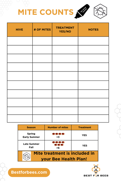 Bee Health Plan Cards