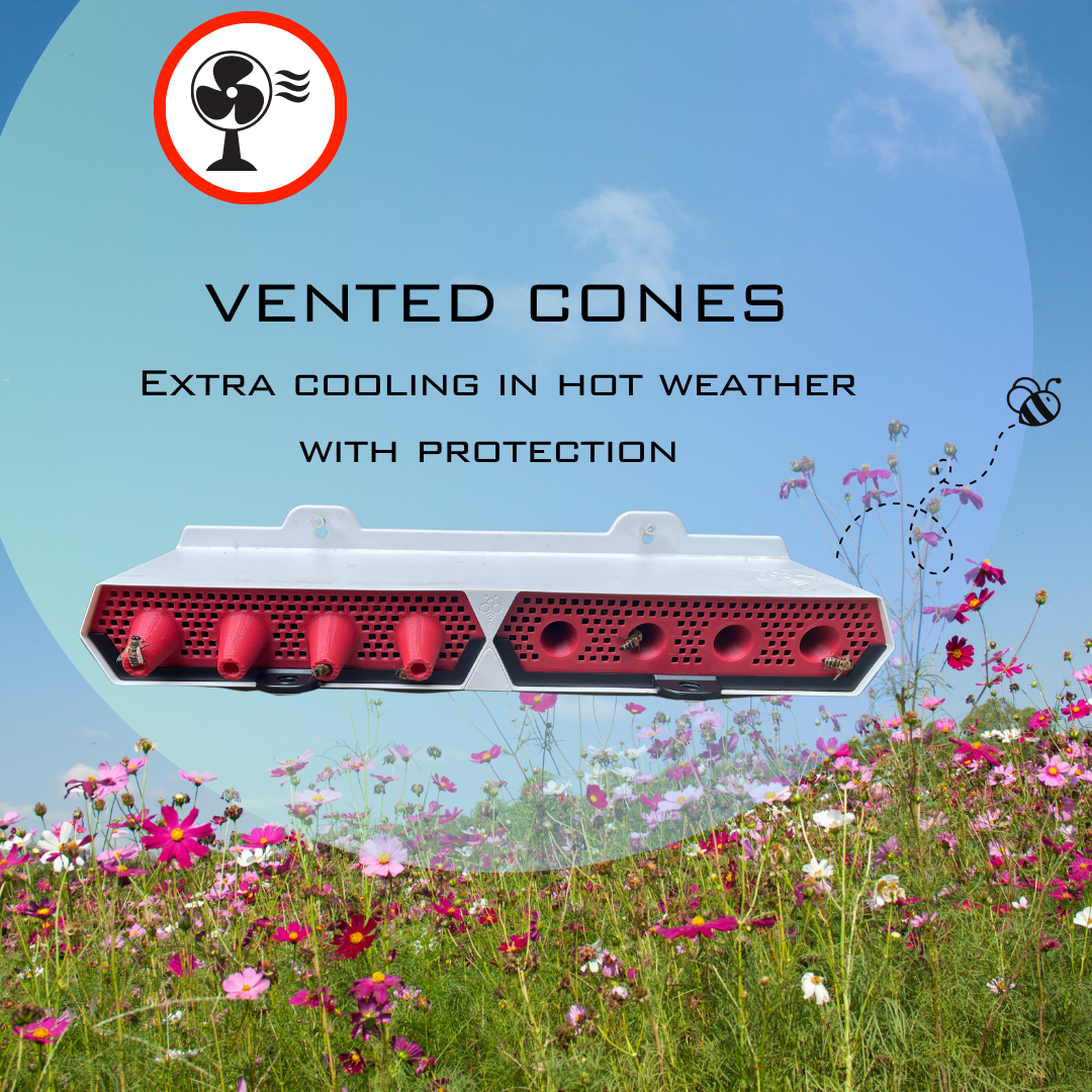 Cone Insert ProtectaBEE® Vented Cone Insert (2-pack) – Best for Bees