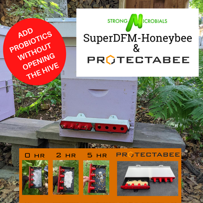 MINI ProtectaBEE™ 8-frame Langstroth - All-In-One Adjustable Hive Entrance - PRE-ORDER FOR SPRING 2024
