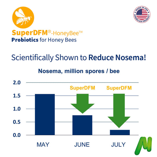 SuperDFM-Honeybee Probiotics